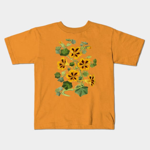 Nasturtium Flower Vintage Botanical Illustration Kids T-Shirt by Biophilia
